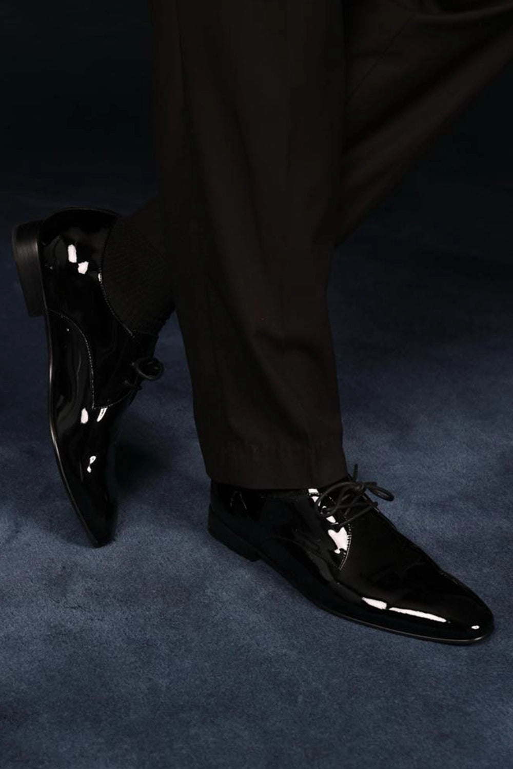 Sleek Regal Orfordy