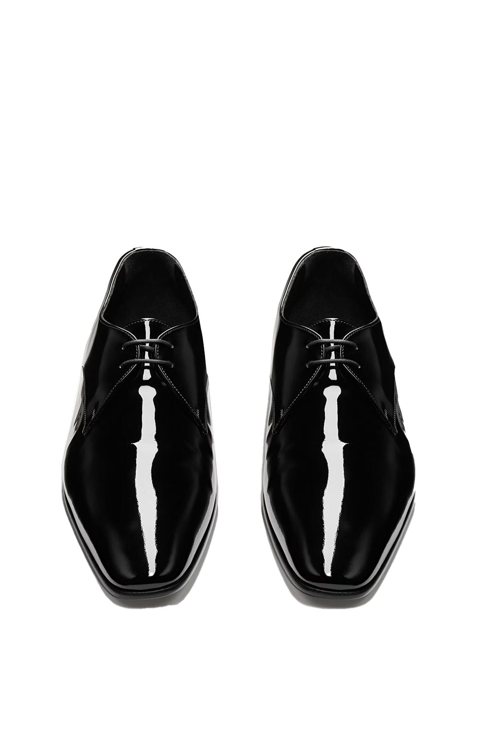 Sleek Regal Orfordy